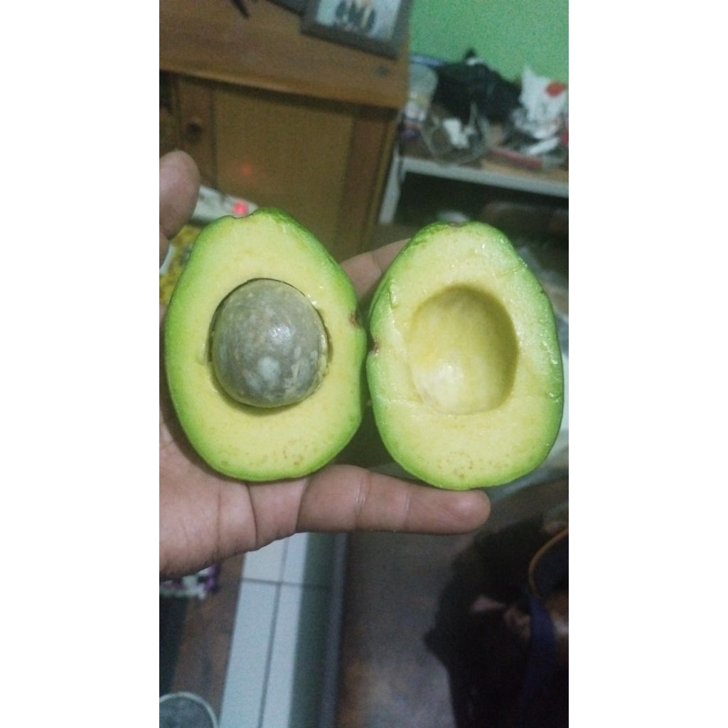 Alpukat Mengkel Spek Juice 10kg