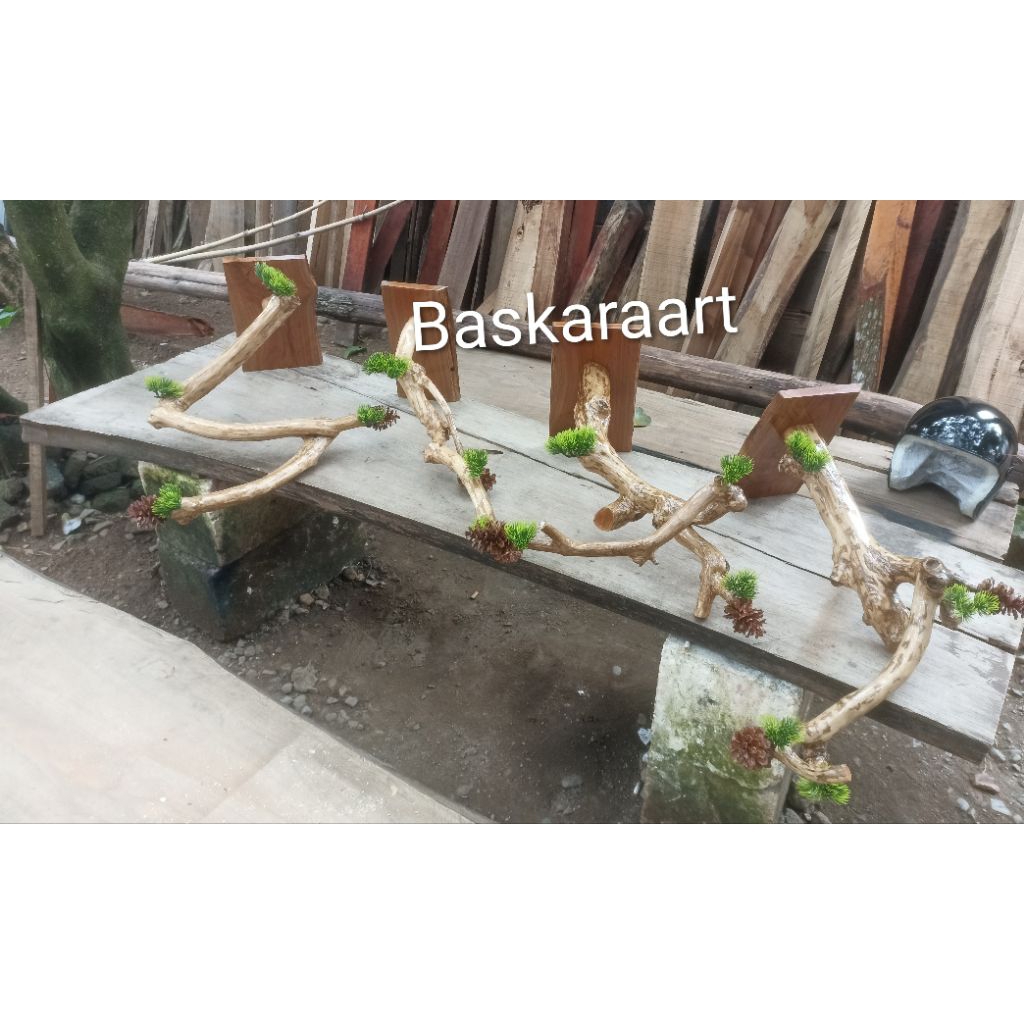 Gantungan sangkar burung dinding dari ranting kayu kopi aestetic