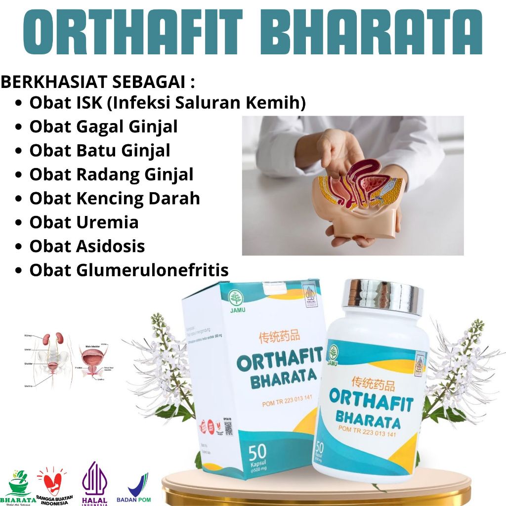 Obat Infeksi Saluran Kencing ORTHAFIT BHARTA ORIGINAL Obat Ginjal Ampuh Gagal Ginjal Infeksi Ginjal