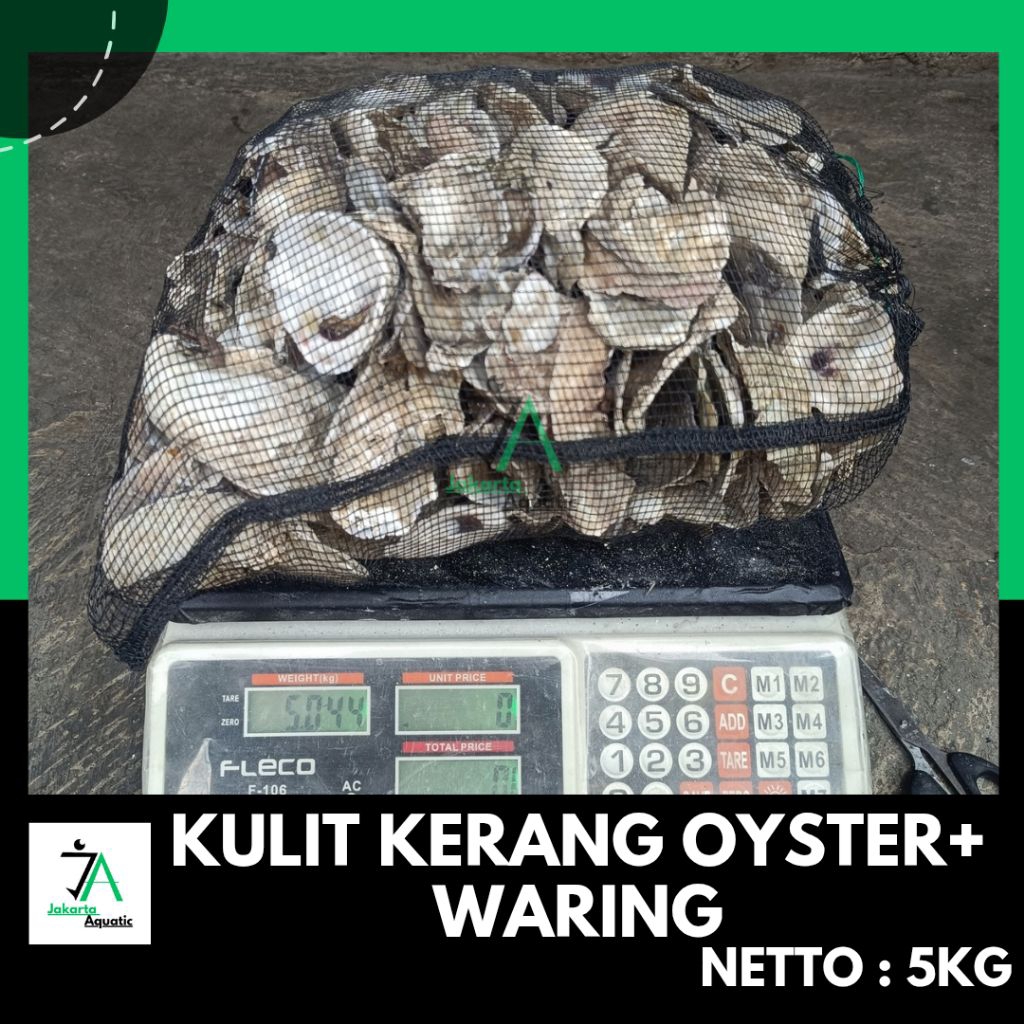 Oyster 5 kg plus waring / oyster 5kg /oyster / mediafilter / kerang oyster /media filter koi / filte