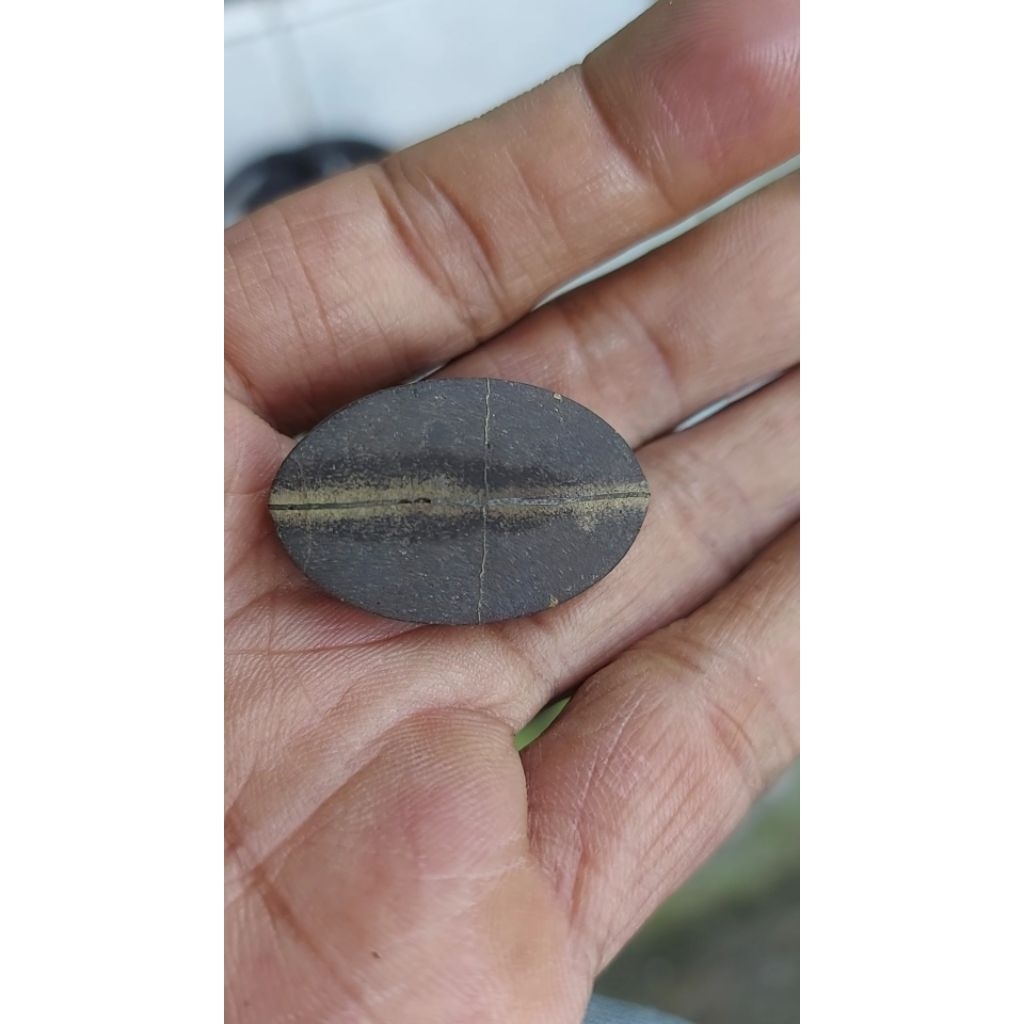 tapak jalak lawasan benang emas timbul