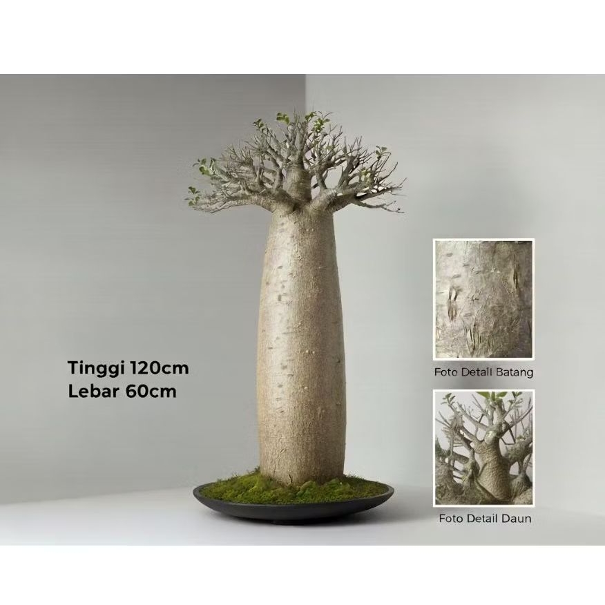 Tanaman artificial baobab