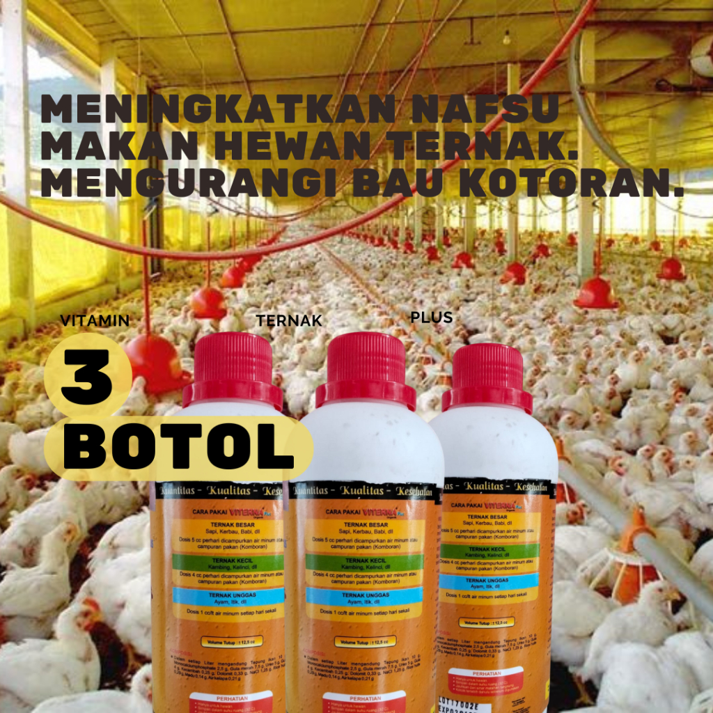 Vitamin Ternak Organik Penggemuk Sapi Kambing Ayam