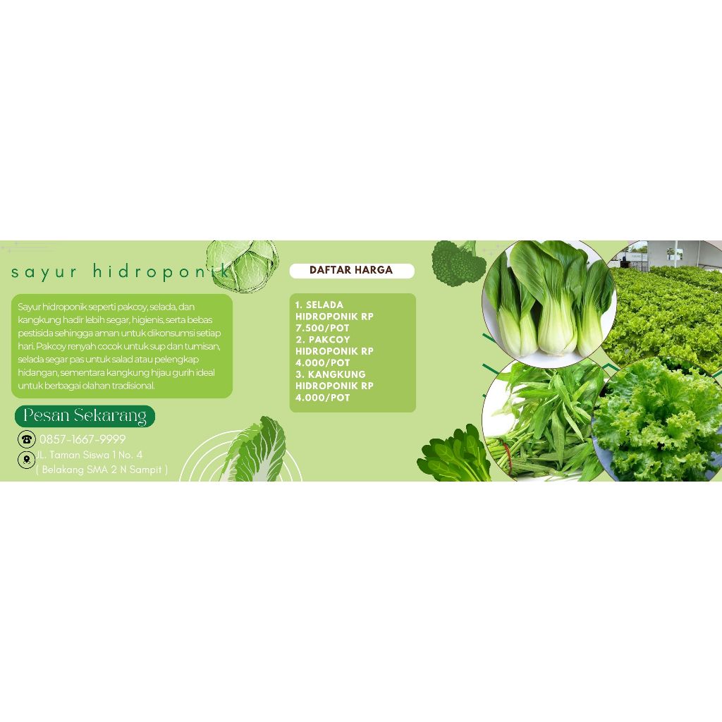 sayur hidroponik segar