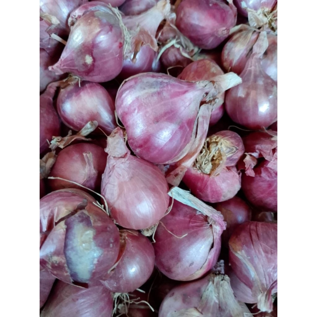 Bawang Merah bima 1kg