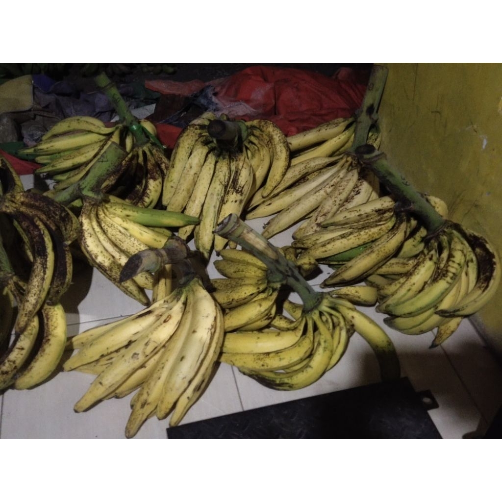 10kg pisang tanduk madu super Jumbo asli Temanggung