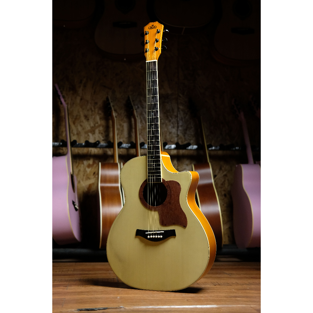 GITAR AKUSTIK/AKUSTIK ELEKTRIK JGS TR-01NA