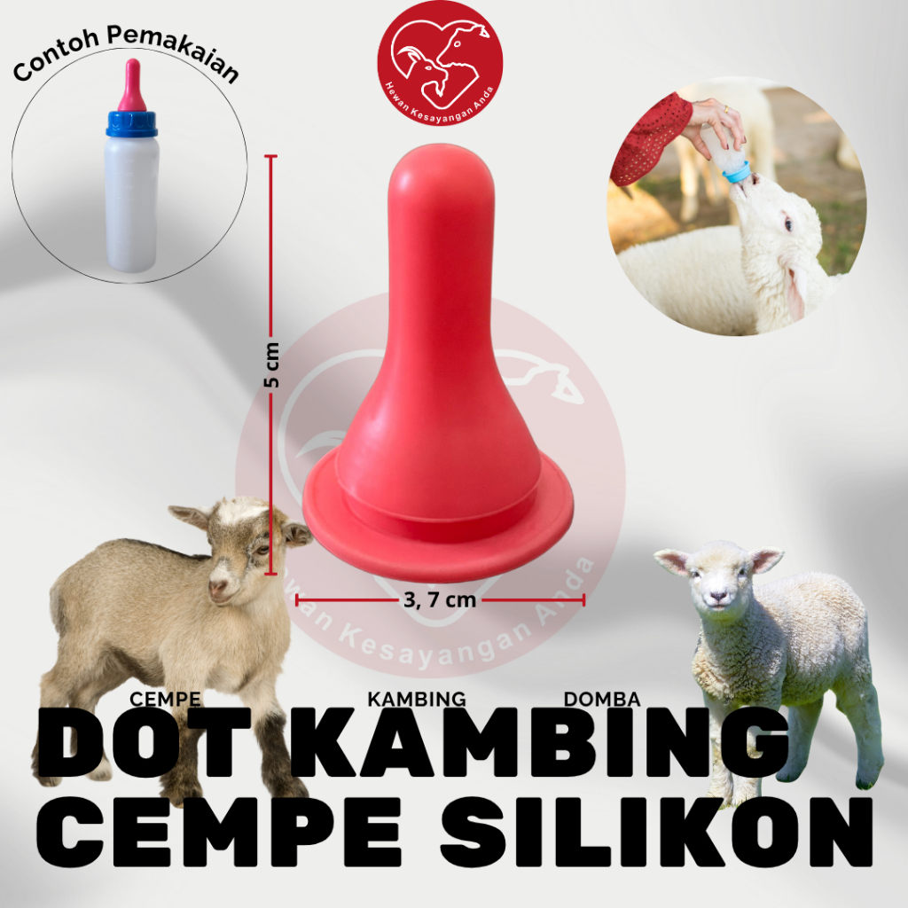 Dot Kambing Dot Cempe Silkon Merah Dot Anak Kambing dll