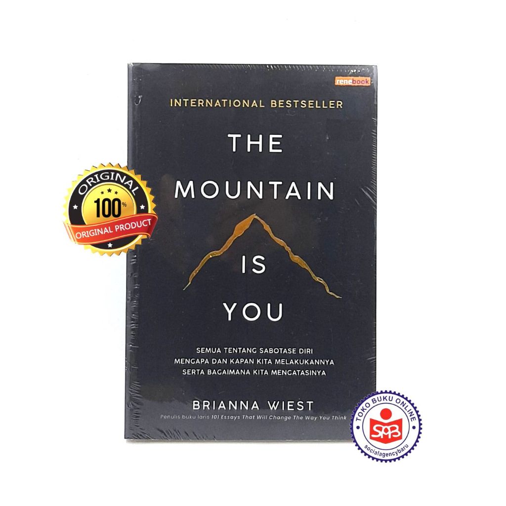 The Mountain Is You - Brianna Wiest