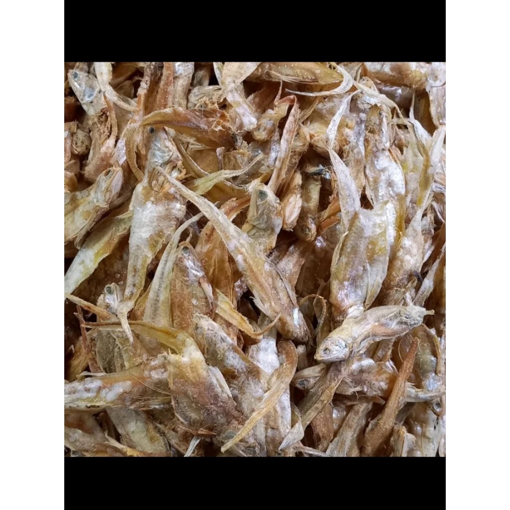 ikan asin bulu ayam tawar