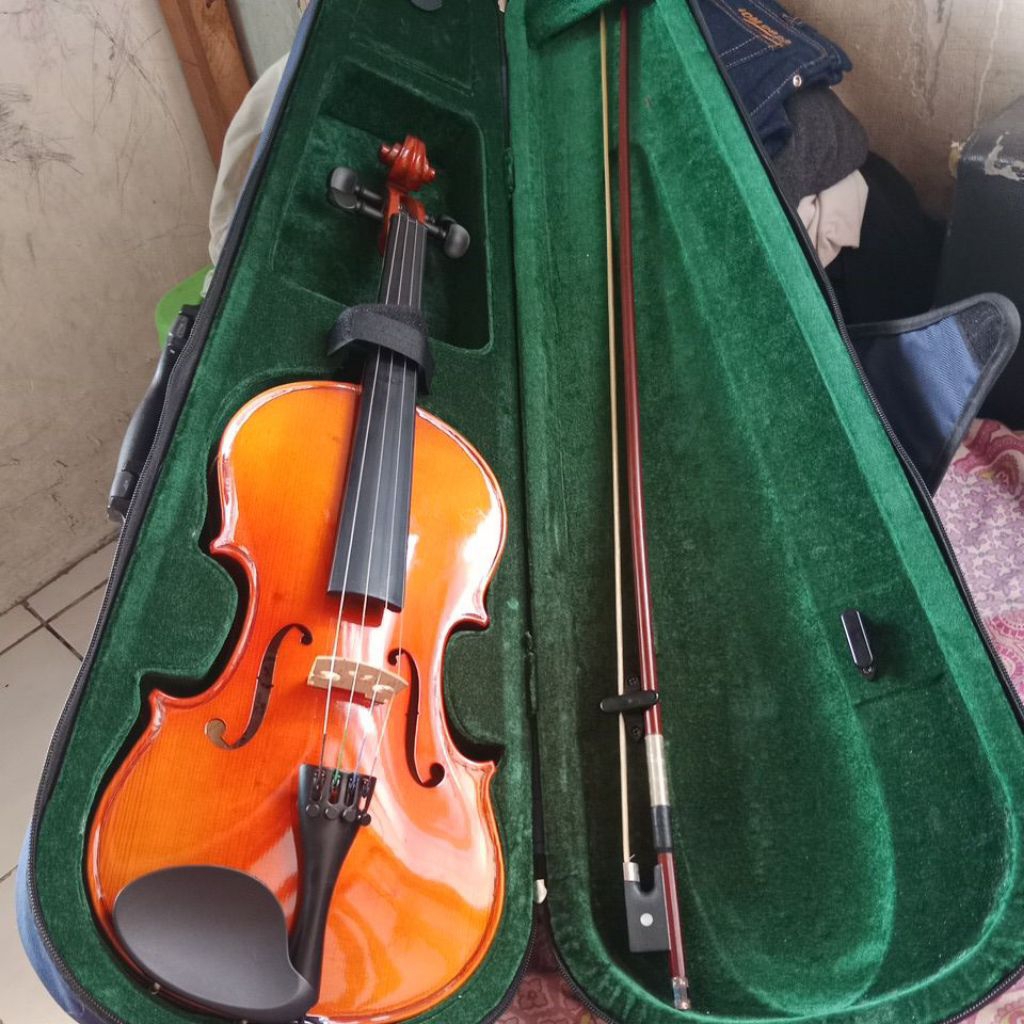 alat musik biola