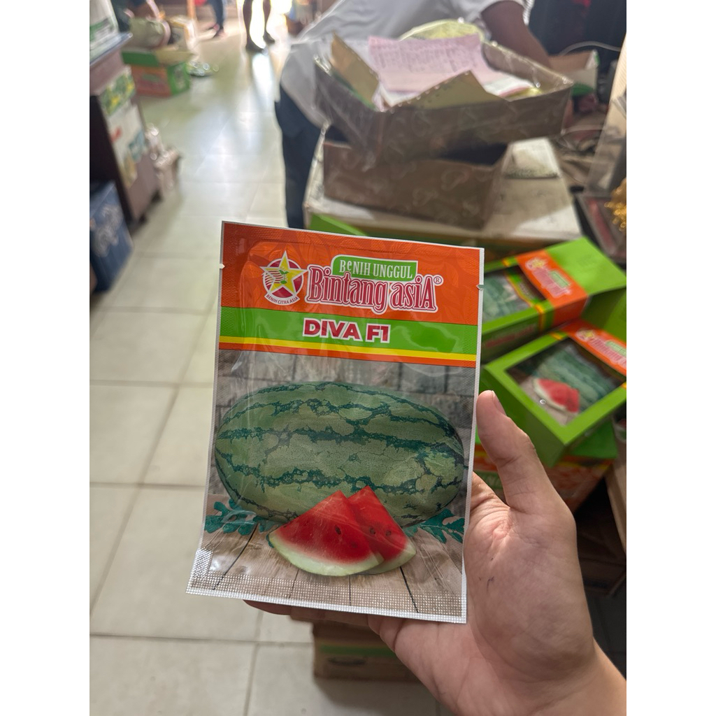BIBIT BENIH SEMANGKA BINTANG ASIA DIVA F1 20 GR