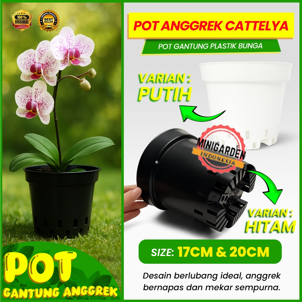 POT ANGGREK CATTELYA pot plastik lubang pot bunga pot gantung anggrek