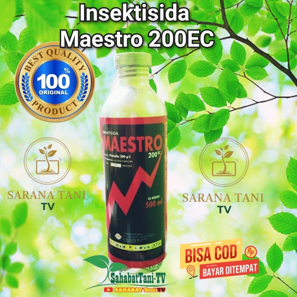 Insektisida MAESTRO 200 EC isi 500 ml, insektisida berbahan aktif Triazofos 200g/l  berfungsi membas