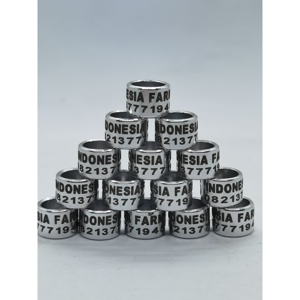 RING BURUNG LASER SILVER 1 | CUSTOM CETAK NAMA | MERPATI | PERKUTUT | MURAI | KENARI | LOVEBIRD | PU