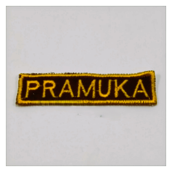 Atribut PRAMUKA TEXS PRAMUKA BORDIR