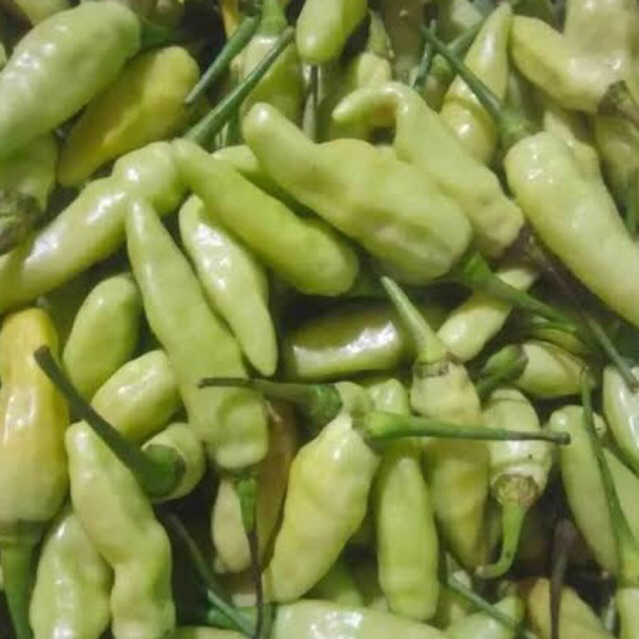 Cabe Rawit Hijau 1kg | Cabe rawit putih | CRH | Cabe lalap | Cabe Gorengan