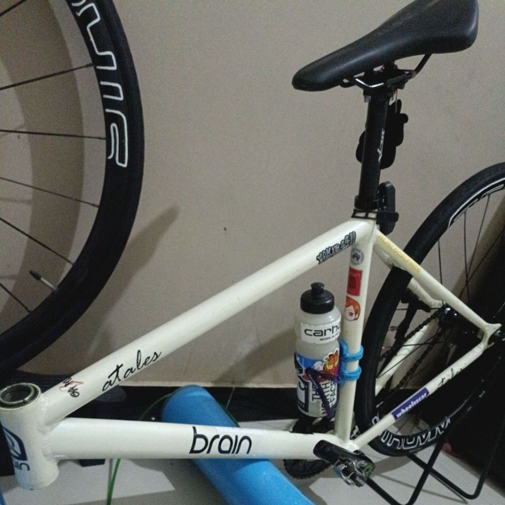 frame only brain atales