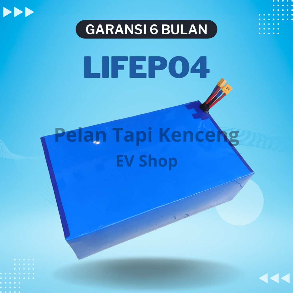 Baterai LifePo4 60v 48ah PNP Motor Listrik Selis Balis