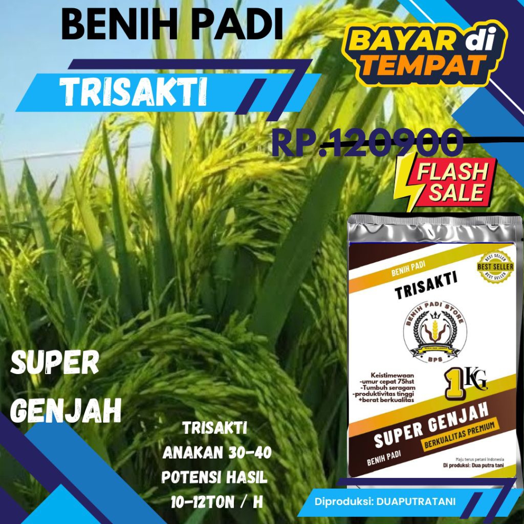 BENIH PADI TRISAKTI UMUR GENJAH 75hst 1kg