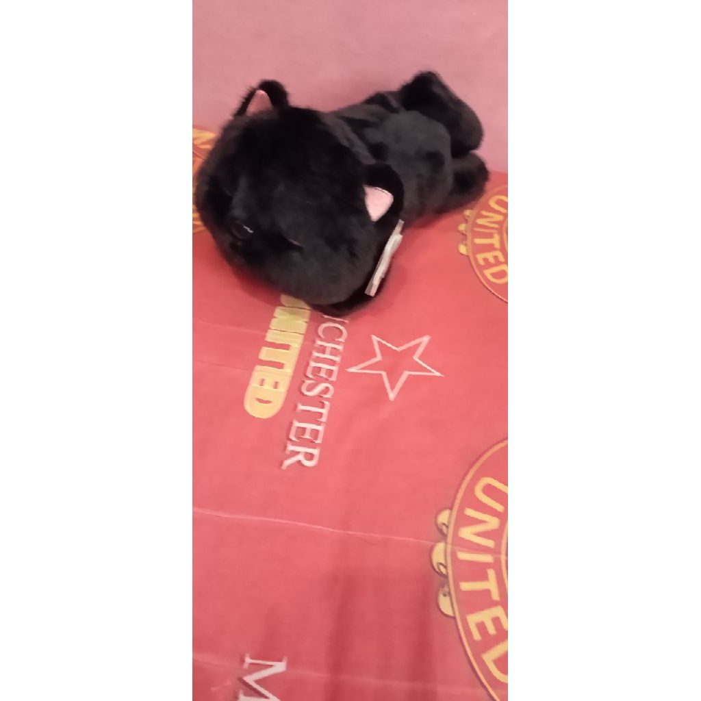 Boneka kucing Hitam funclaw