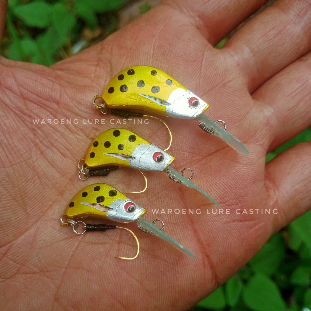 REAL PICT minnow NADYA lure masheer 2cm/2.5cm/3cm minnow handmade minnow micro casting