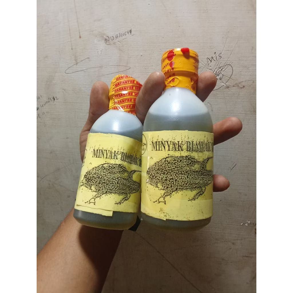 MINYAK URUT MINYAK KARO ASLI