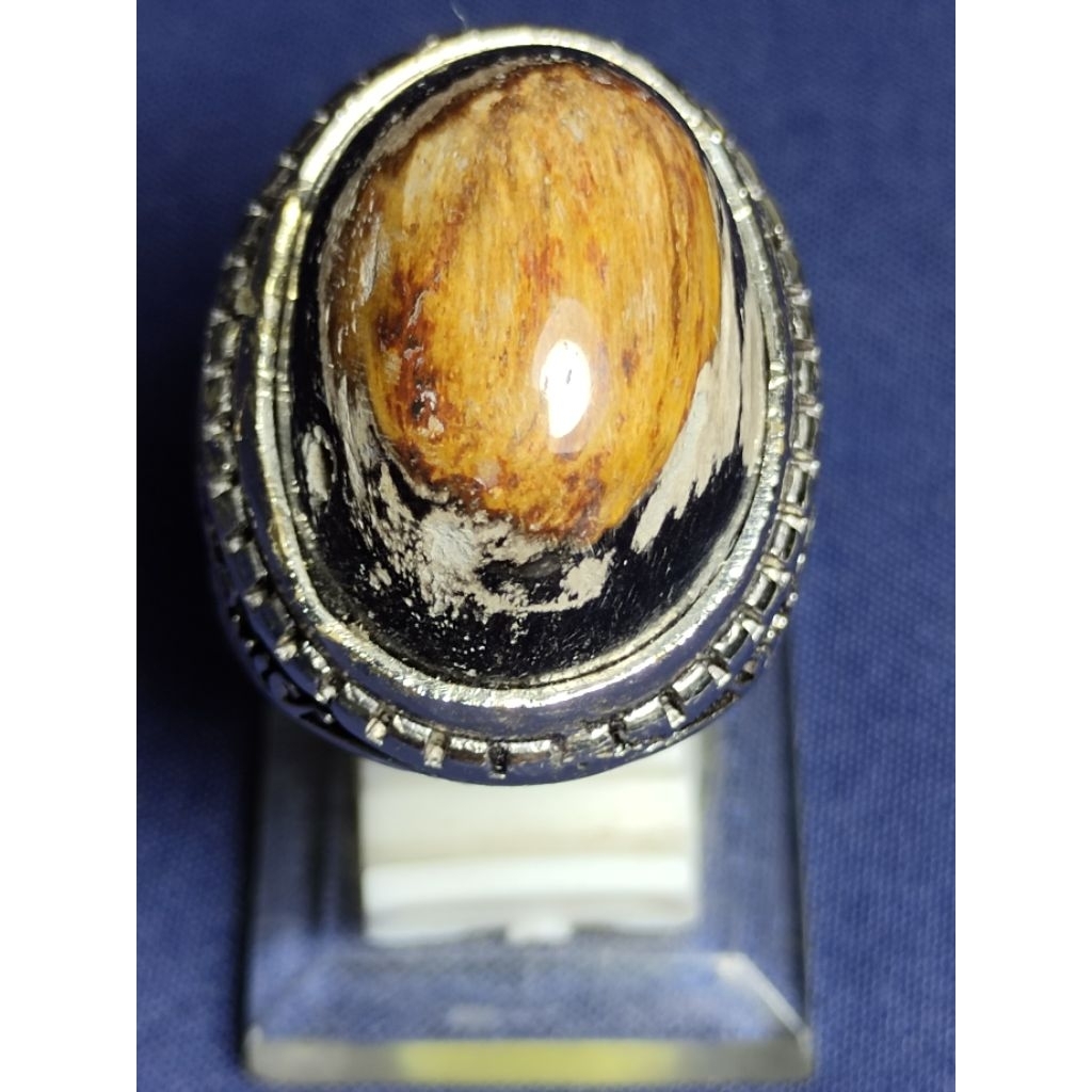 Natural Kelor Petrified Wood / Batu Fosil Kayu Kelor, COMBONG