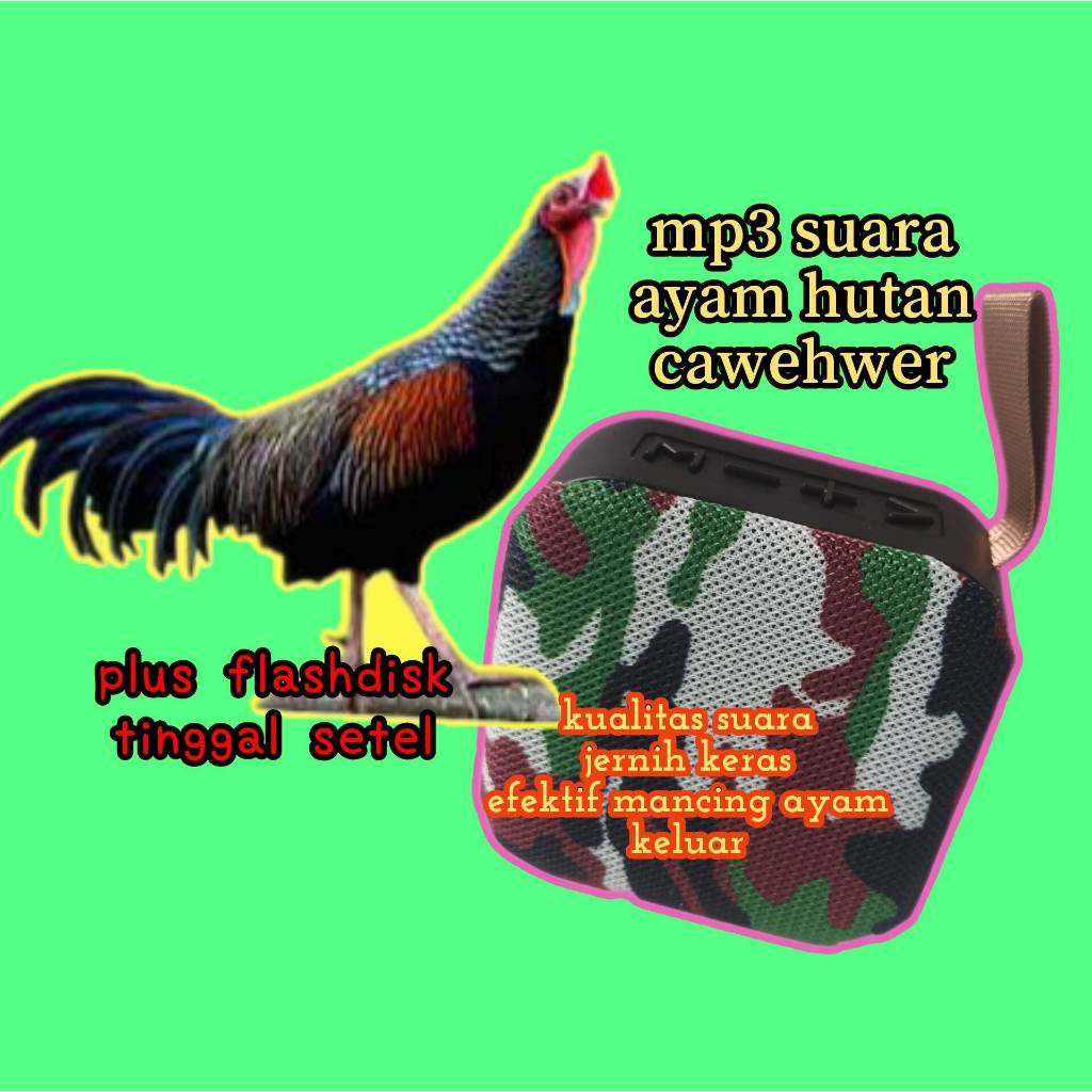 speaker bluetooth mp3 musik box + flashdisk suara ayam hutan cawehwer bakikuk tekukur sepah punai ga