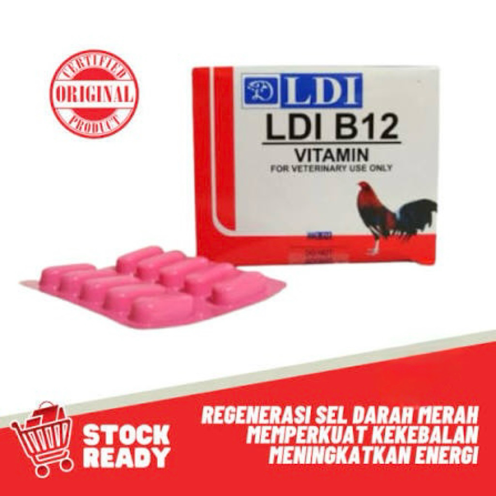1 DOS LDI B12 VITAMIN AYAM