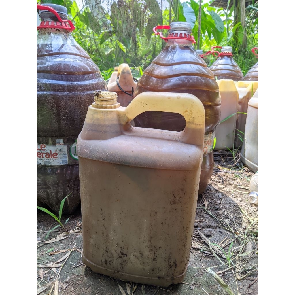 PUPUK URINE KAMBING MURNI