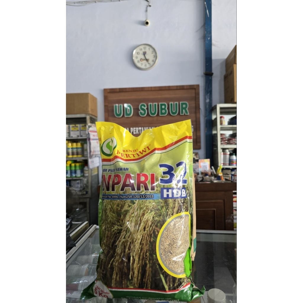BENIH PADI INPARI 32 PERTIWI (Berat bersih: 5kg)