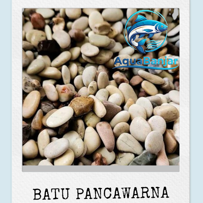 Batu Pancawarna 1Kg Hias Aquarium Tanaman Kolam / Batu Pancawarna