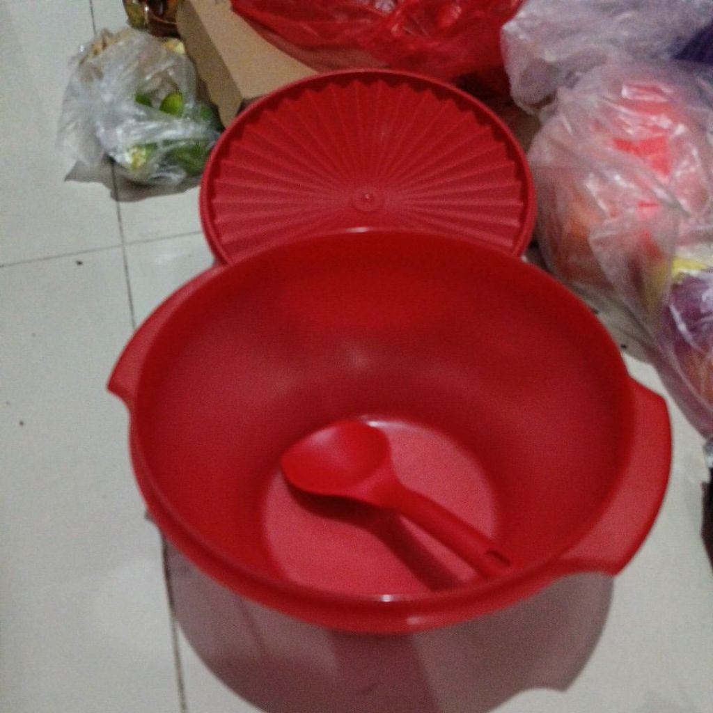 rice bowl Tupperware