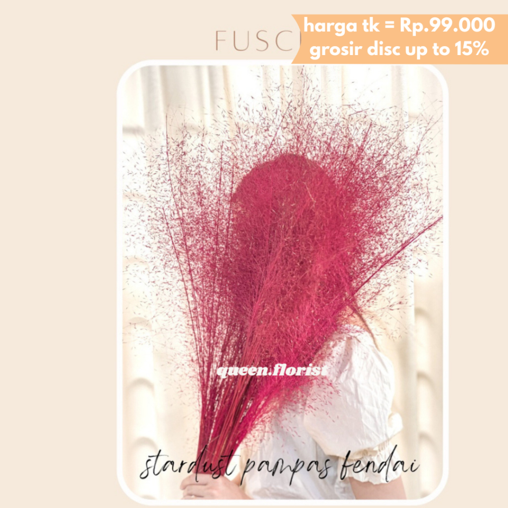 STARDUST PAMPAS FENDAI Home Decor Rayung Kering Rayung Panjang Rayung Natural Rayung Rustic Dekorasi