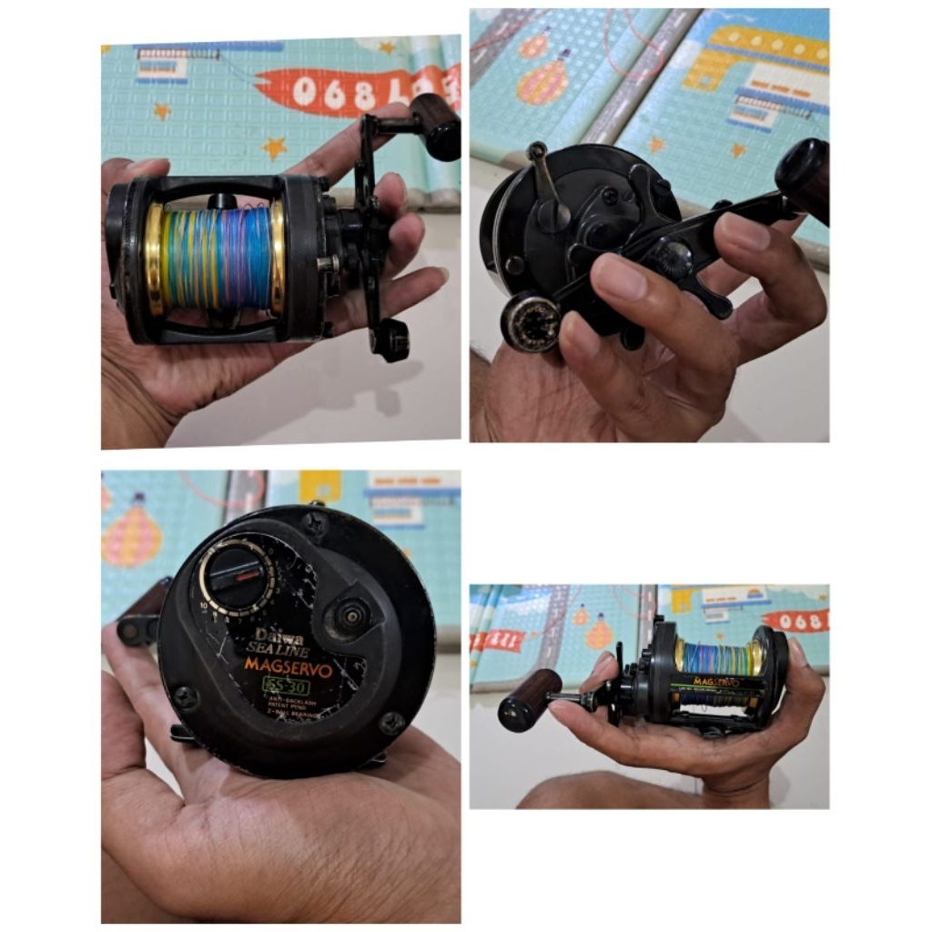 reel daiwa sealine