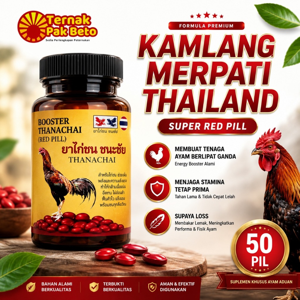 Kamlang Kering Merah Thailand - 50 Pill Untuk Menambah Stamina Nafas & Kekuatan