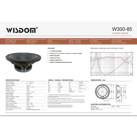 Wisdom W300 - 85 Woofer Driver 12 Inch