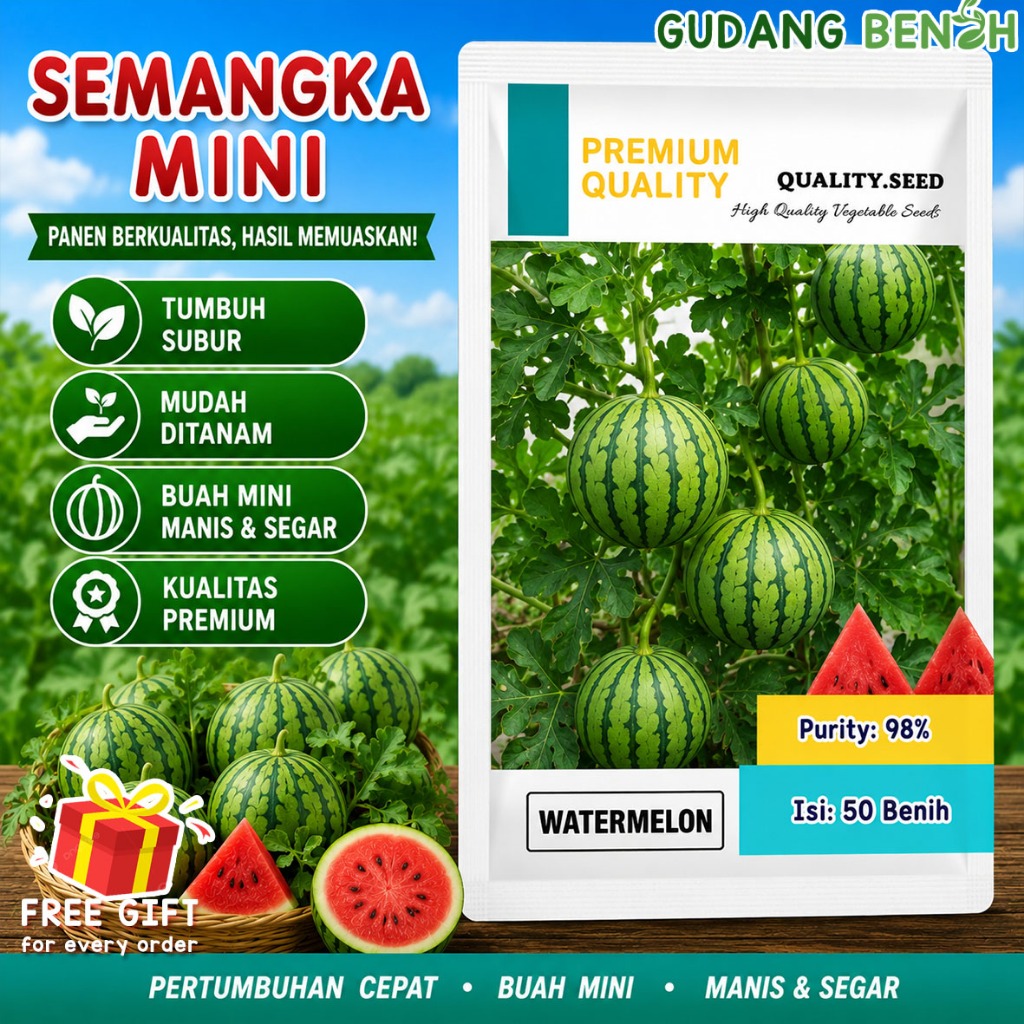 Semangka Mini Watermelon Biji Unggul Tahan Hama Isi 50 Benih - Bibit Buah Semangka Mudah Ditanam