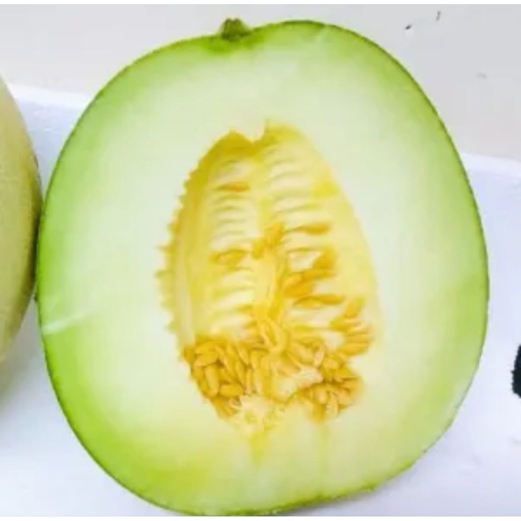 buah melon manis 1kepala buah melon segar buah melon manis buah segar bandung
