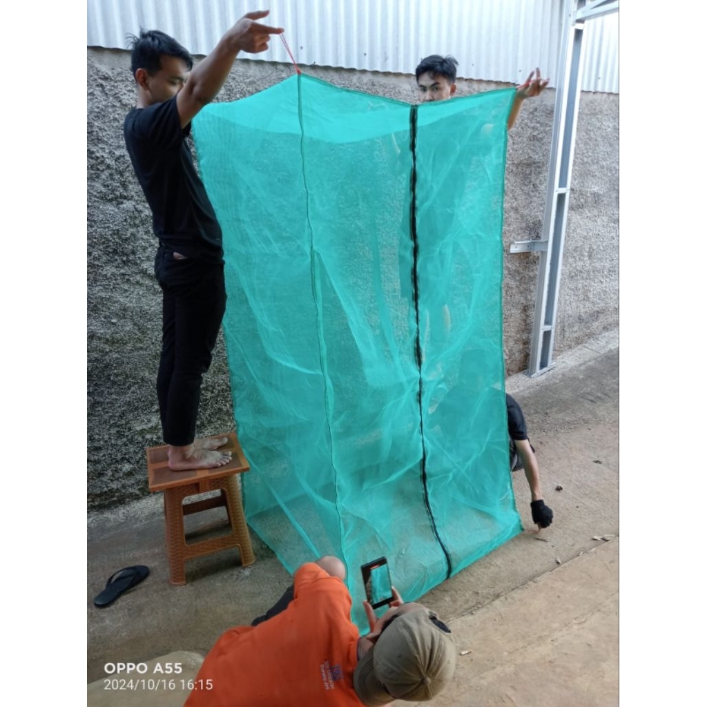 kandang lalat BSF 120 x 50 x 120 cm kandang lalat BSF maggot maggot bsf