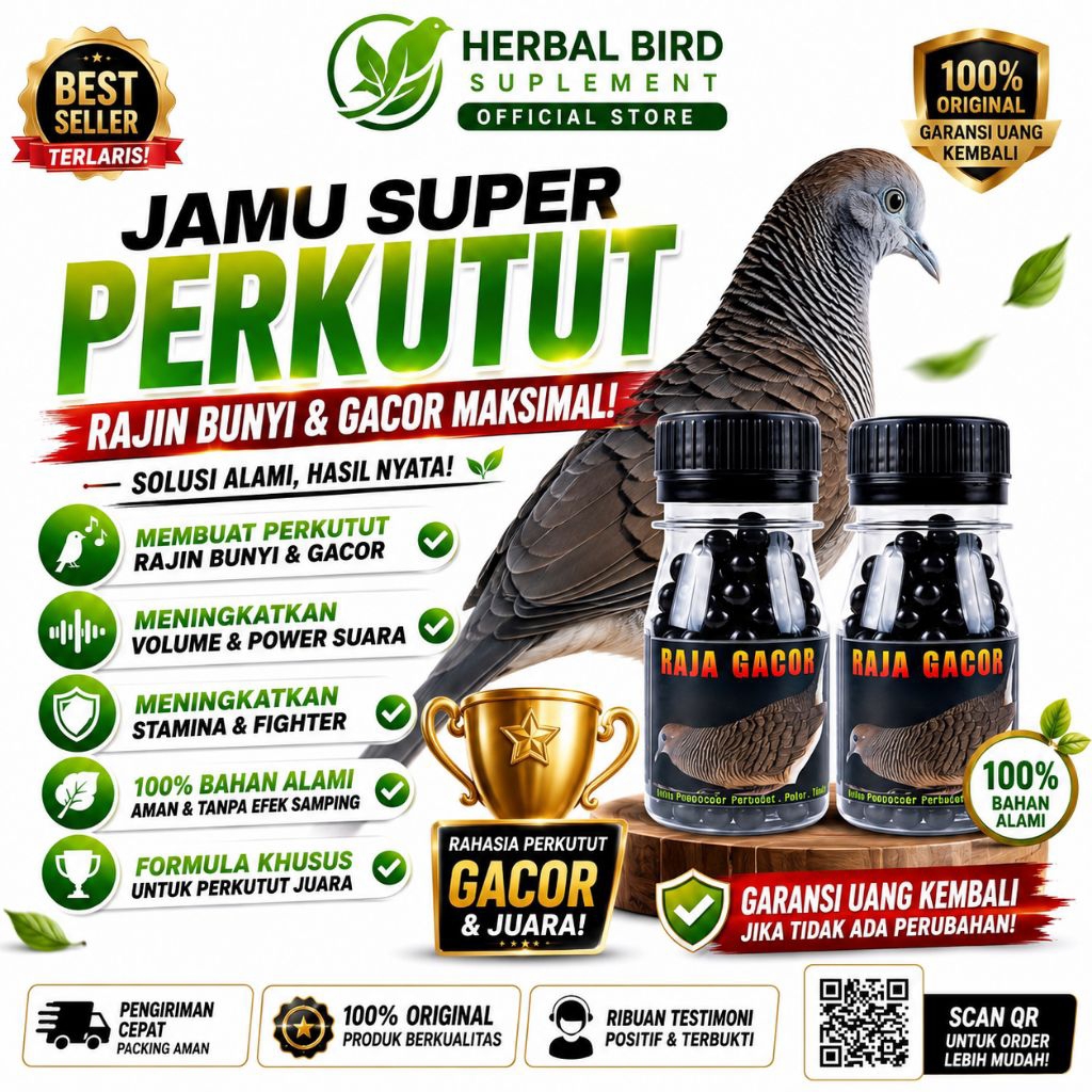 AMPUH  ISI 100 BUTIR JAMU PERKUTUT RAJA GACOR WARISAN LELUHUR pil perkutut full kerot vitamin perkut