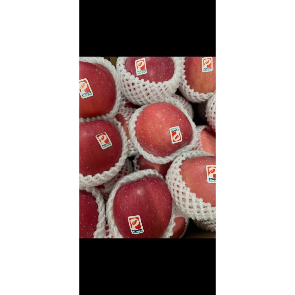 apel fuji blush pohon