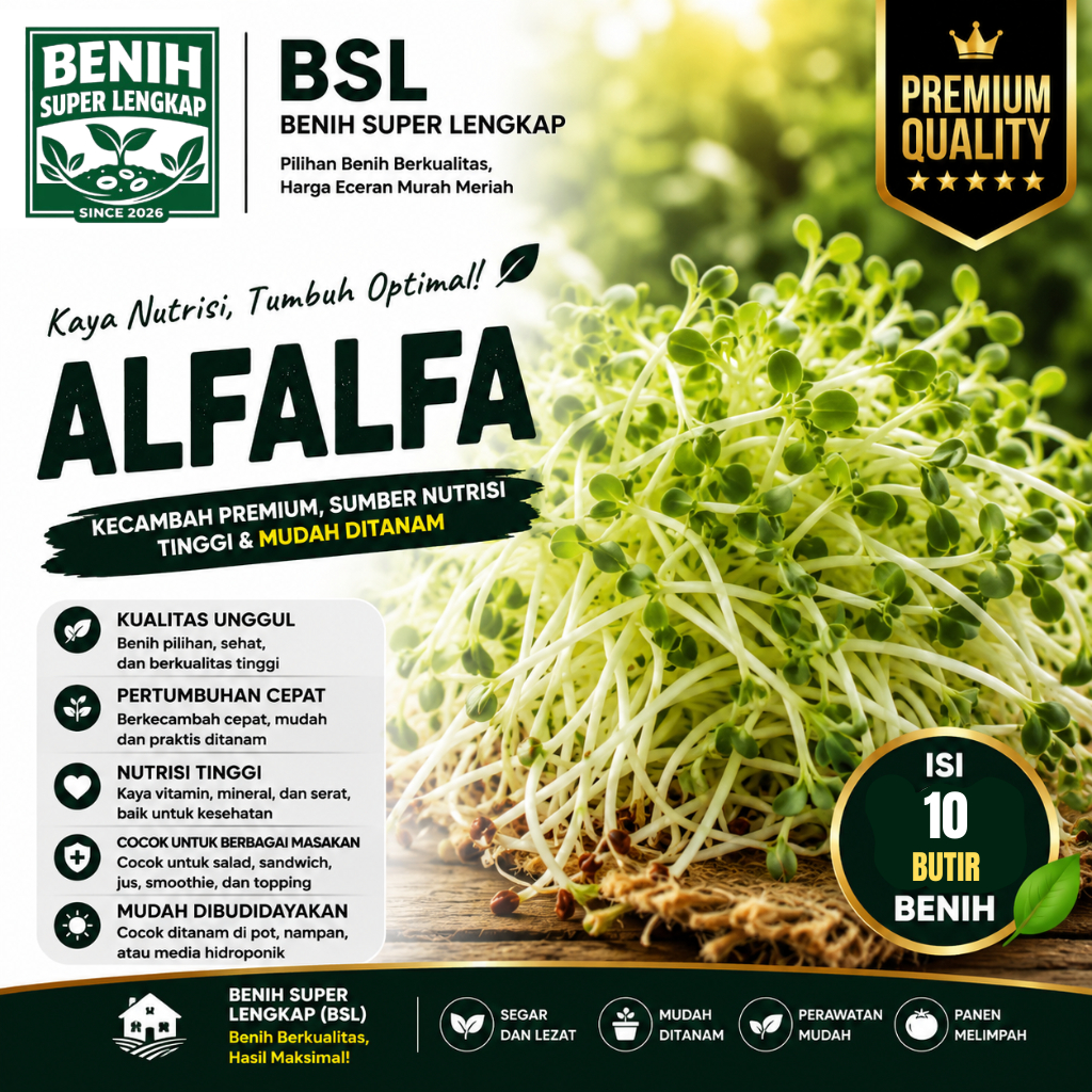 ( 10 Butir ) Benih Biji Alfalfa | Alfalfa Sprout | Lucerne | Medicago Sativa | UKI BIBIT