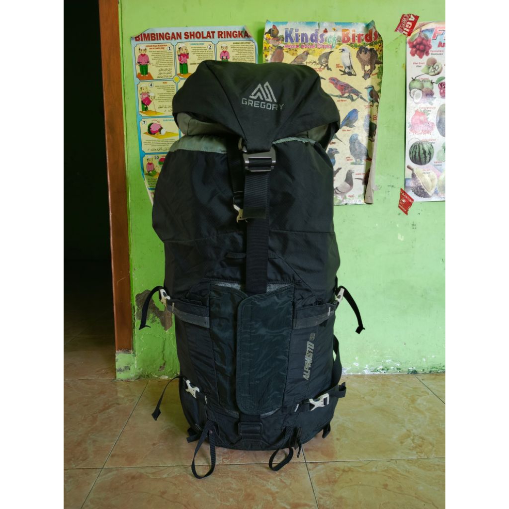 LinkCoCarrierGregoryAlpanisto50L