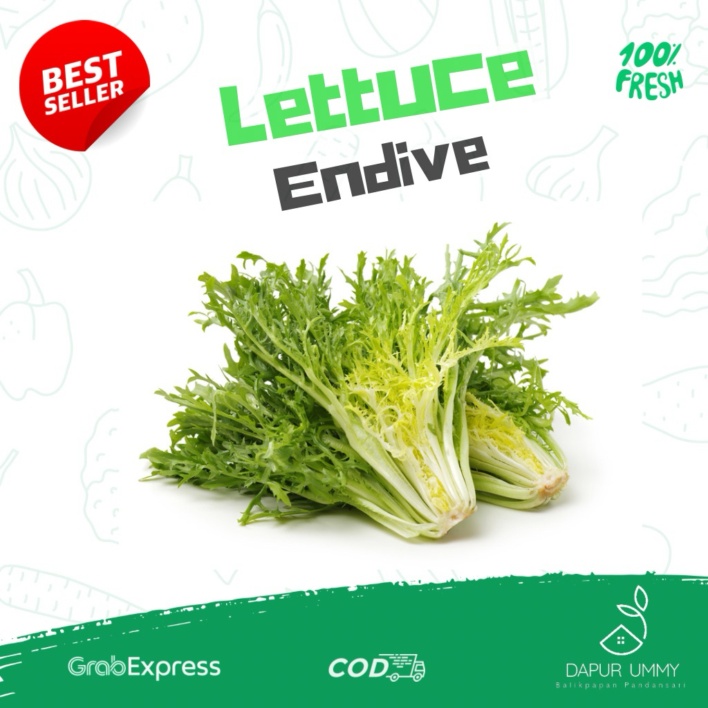 ENDIVE • Lettuce Endive • Selada Endive 250gr