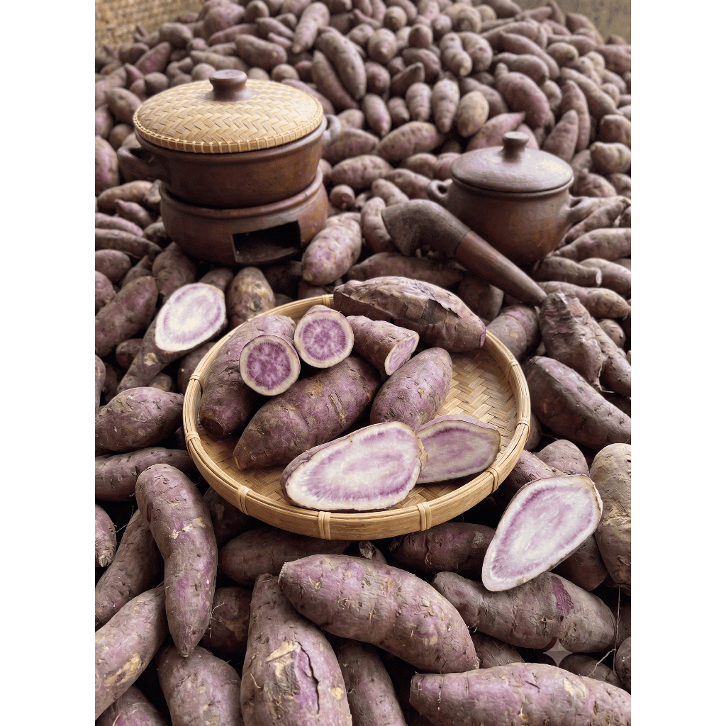 Ubi Samarinda kualitas super 500 gram