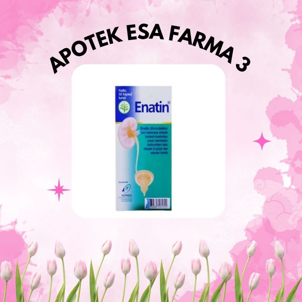 ENATIN KAPSUL ISI 50 TABLET- obat herbal