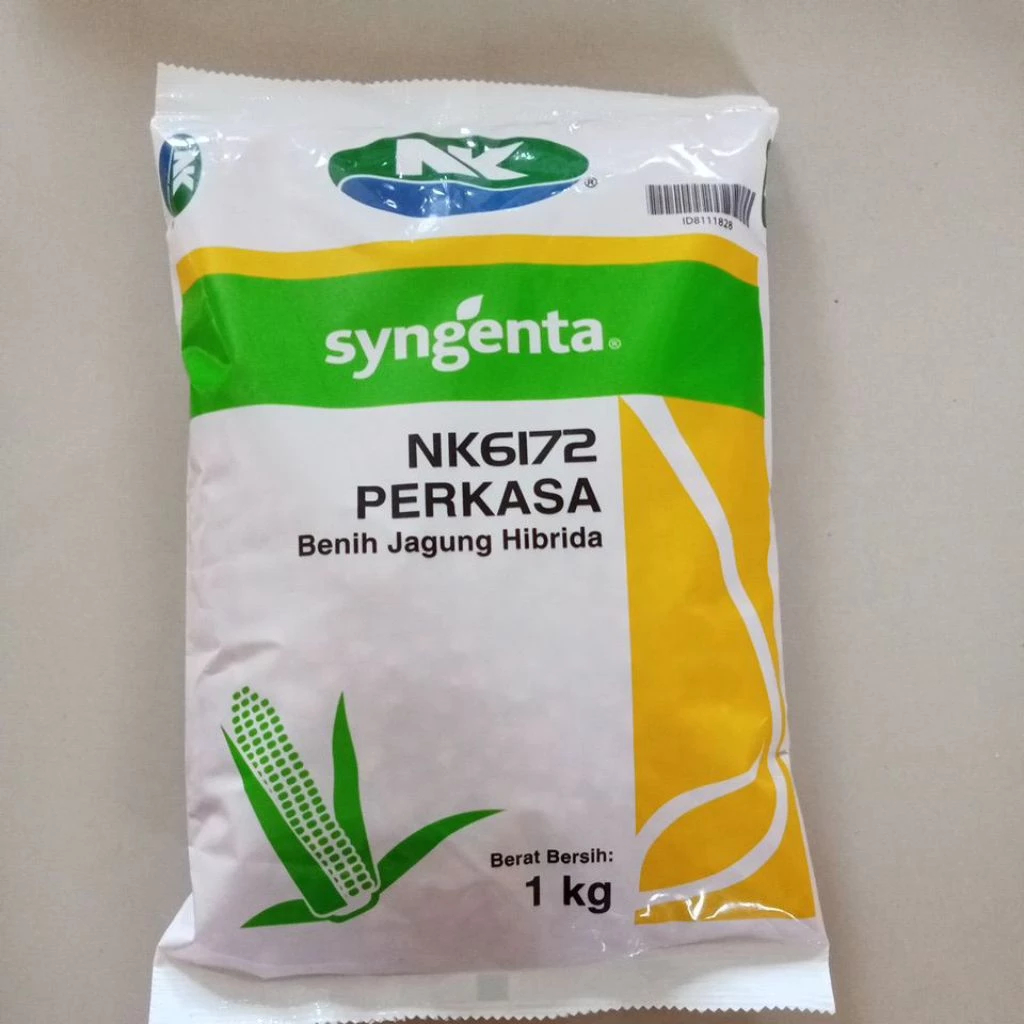 benih jagung NK perkasa 6172 kemasan (1kg)  #benih perkasa #jagung #NK perkasa 6172