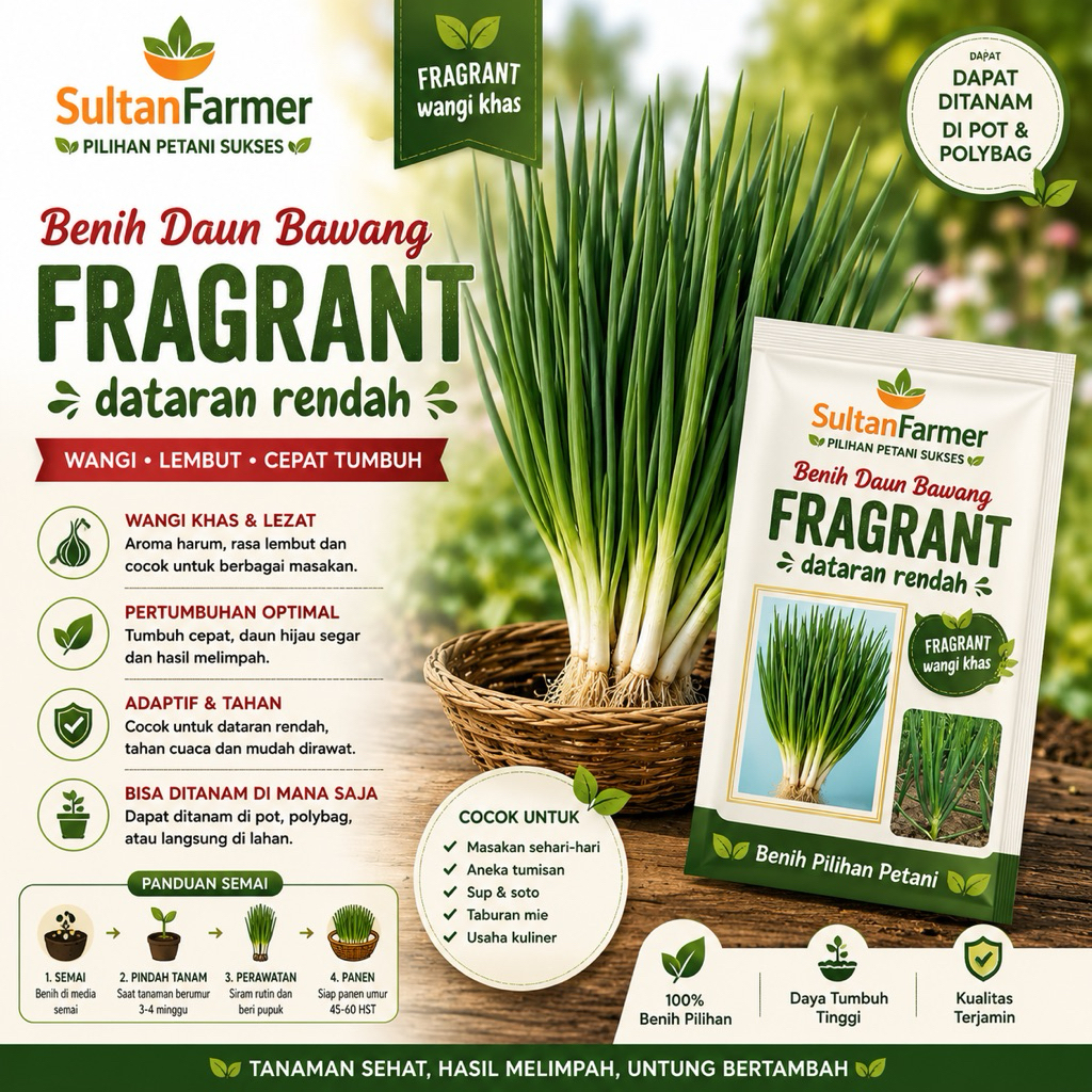 10 Biji - Benih Daun Bawang FRAGRANT dataran rendah